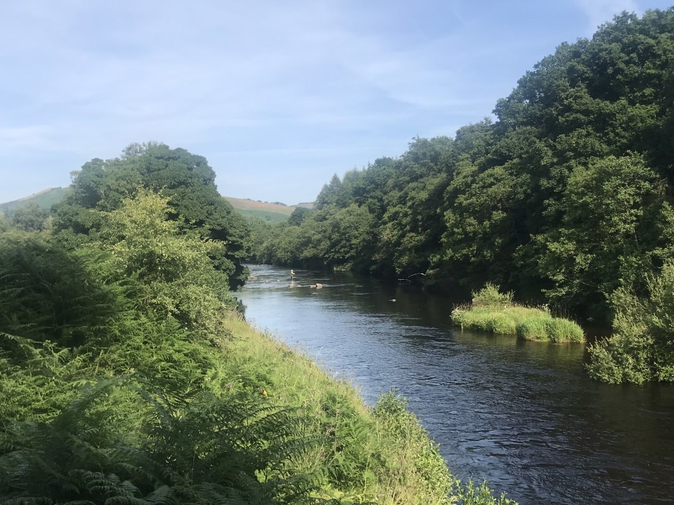 Craig LLyn - PY from Hereford
